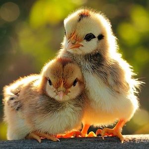 ♡︎Welcome to my closet♡︎